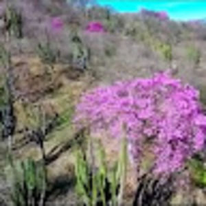 Meet your Posher, Imelda